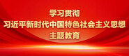 大鸡吧爆操视频学习贯彻习近平新时代中国特色社会主义思想主题教育_fororder_ad-371X160(2)